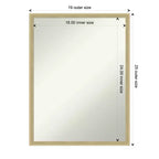 Amanti Art Lucie Champagne Non-Beveled Wood Wall Mirror 25.25 x 19.25 in.