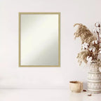 Amanti Art Lucie Champagne Non-Beveled Wood Wall Mirror 25.25 x 19.25 in.