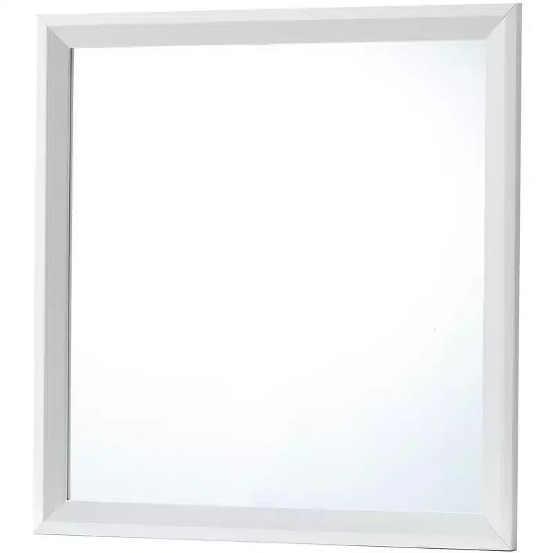Passion Furniture 36 in. x 36 in. Classic Square Framed Dresser Mirror