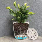 Tierra Garden 16 Rectangular Self-Watering Bamboo Planter