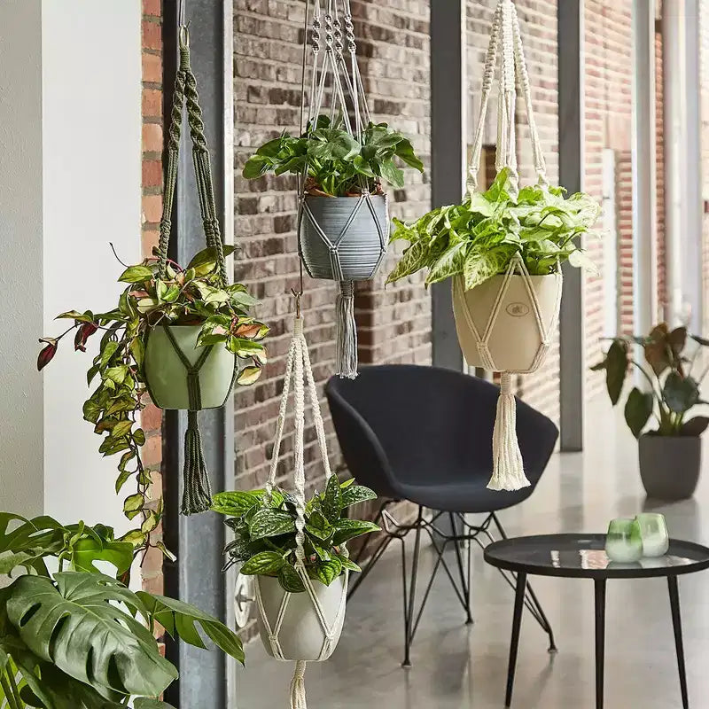 Tierra Garden 35 Macrame Plant Hanger  Boho Chic Accent, Available in Beige, Green, and Gray, Perfectly Fits 6.3 Indoor Ceramic Pot
