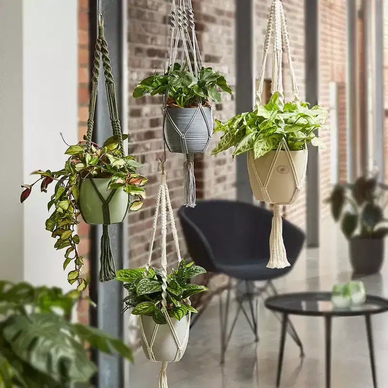 Tierra Garden 35 Macrame Plant Hanger  Boho Chic Accent, Available in Beige, Green, and Gray, Perfectly Fits 6.3 Indoor Ceramic Pot