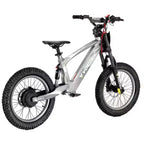 Voltaic Youth Electric Dirt Bike 18'' Flying Fox Gray