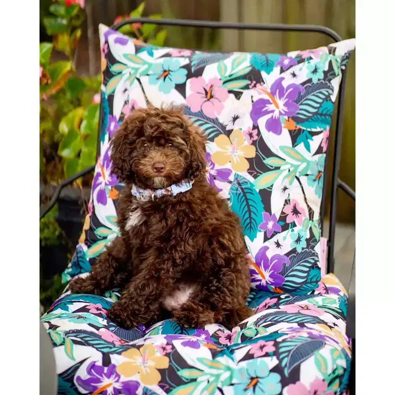 Vera Bradley 2pc 19x19 Outdoor Patio Chair Cushions