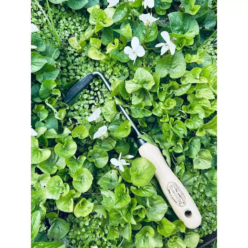 Tierra Garden Cape Cod Weeder- choose between Right or Left Handed