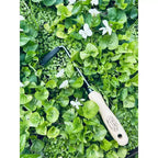 Tierra Garden Cape Cod Weeder- choose between Right or Left Handed