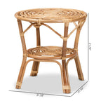 Cariel Modern Bohemian Natural Brown Rattan Coffee Table