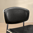 Art Leon Modern Bentwood Dining Chairs (Set of 2)