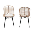 Brenna Modern Bohemian Rattan and Metal 2-Piece Dining Chair Set