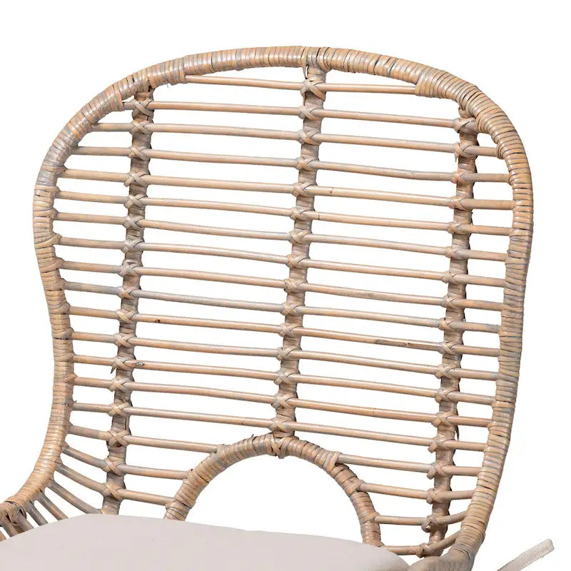 Brenna Modern Bohemian Rattan and Metal 2-Piece Dining Chair Set