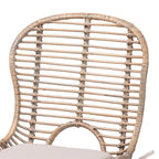 Brenna Modern Bohemian Rattan and Metal 2-Piece Dining Chair Set