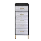 Myles 17" Armoires - Acme Furniture: Metal Frame, 5-Door Jewelry Storage, No Assembly Required