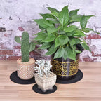 Unique Bargains Reversible Non-slip Heat Insulation Strong Water Absorption Plant Coaster 3 Pcs