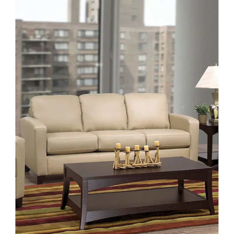 Bryce Italian Top Grain Leather Upholstered Transitional Sofa