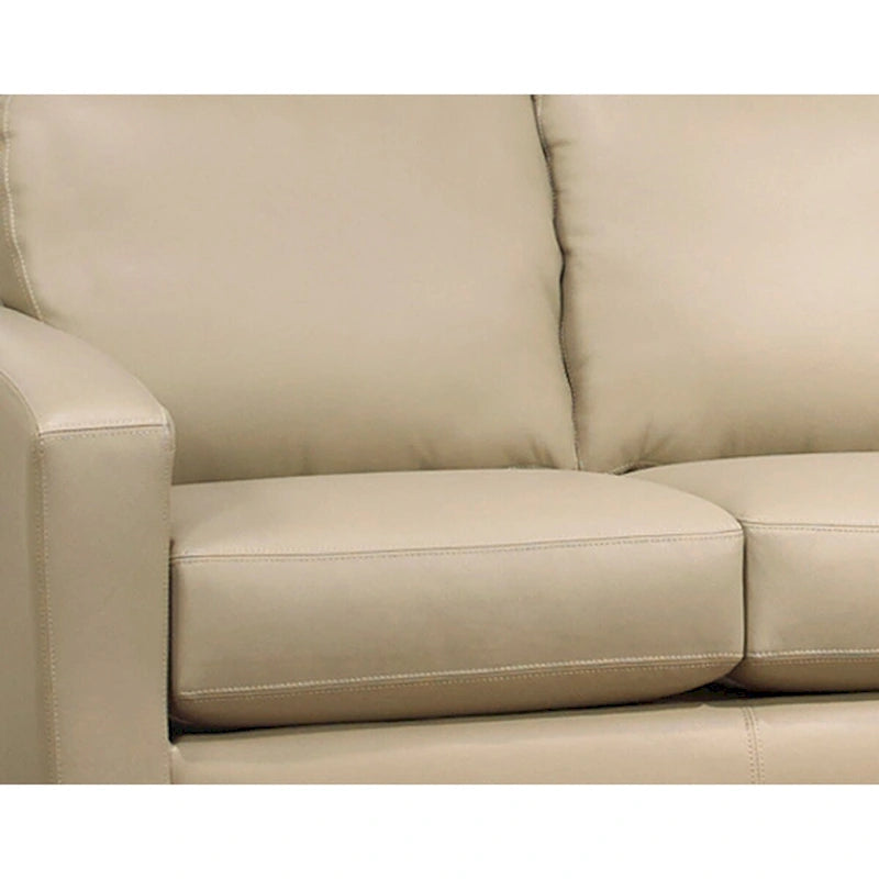 Bryce Italian Top Grain Leather Upholstered Transitional Sofa