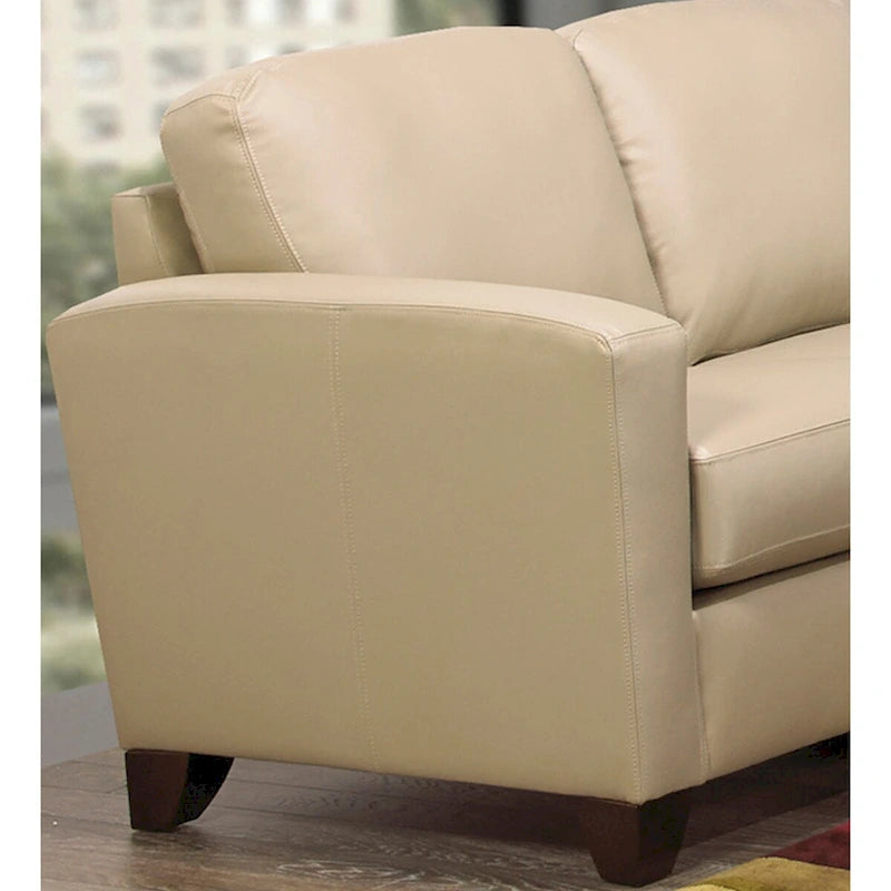 Bryce Italian Top Grain Leather Upholstered Transitional Sofa