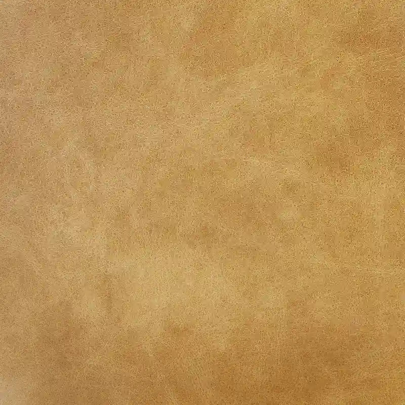 Art Leon Genuine Leather Accent Lounge Chair