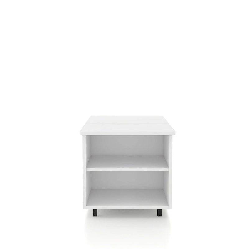 DH BASIC Modern 37-inch Lift-Top Coffee Table with 16 Colors LED Light and Adjustable Shelf