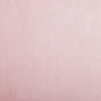 Xanthia Traditional Velvet Multifuntional Storage Ottoman Bench with Pillow by Christopher Knight Home