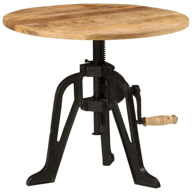vidaXL Side Table Round Coffee End Table Sofa Table Solid Wood and Cast Iron